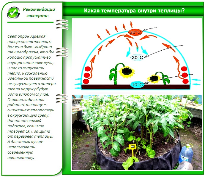 Температура в теплице