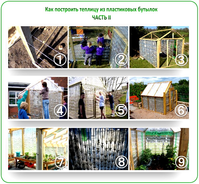 Как построить теплицу из бутылок