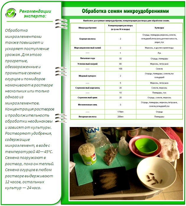 Срок годности семян