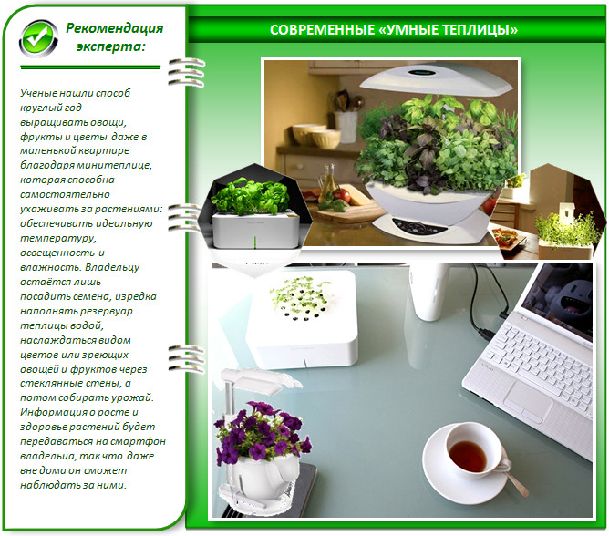 Современная мини-теплица