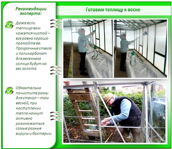 Подготовка теплицы