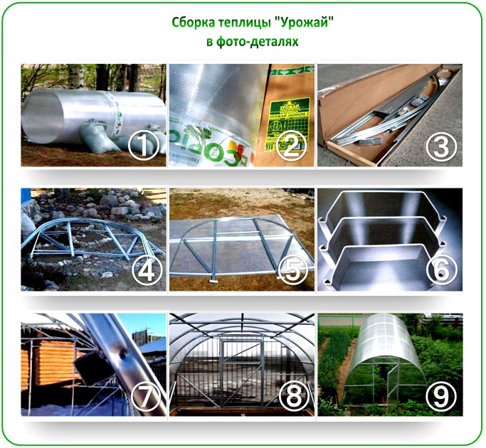 Сборка теплицы "Урожай"