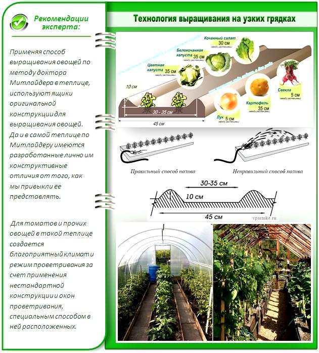 метод узких грядок