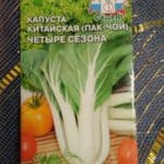 Четыре сезона