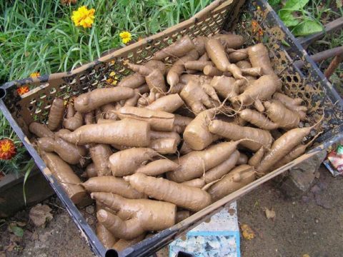 Хранение в глиняной рубашке