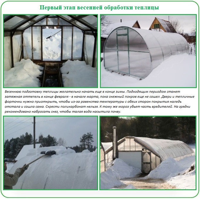 Уход за теплицей из поликарбоната ранней весной