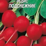 Подснежник