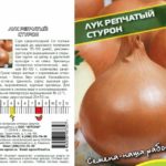 Семена лука Стурон