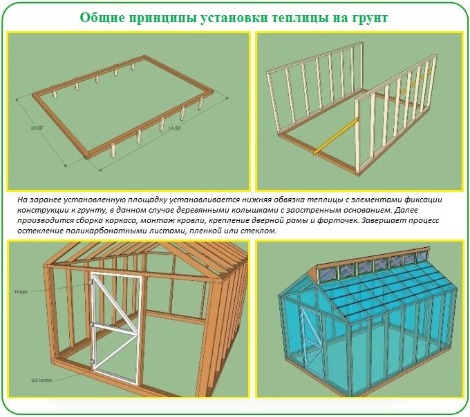 Как правильно установить теплицу из поликарбоната на грунт