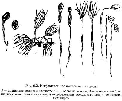 полегание